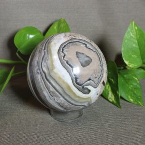 Zebra Jasper 1394g